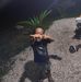 Jonathan Noah - Facebook