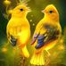 Jonathan Noah - Facebook