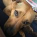 Jonathan Norvell - Facebook
