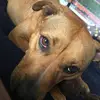 jonathan_norvell - @jonathan_norvell - TikTok