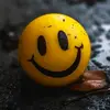 Oakjonathan - @oakjonathan8 - TikTok
