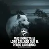 Jonathan obando - @johnylopez1710 - TikTok