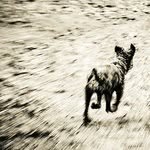 Jonathan OConnell - @jonathanoconnell - Instagram