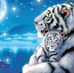 Jonathan O'Connor - Facebook