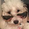jonathanoconnor - @jonathan122307 - TikTok