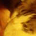Jonathan Olmstead - Facebook