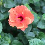 Jonathan Paden - @god_magnolia - Instagram
