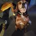 Johnathan Parkhurst - Facebook