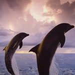 Jonathan Pascal - @jonathan39101 - Instagram