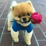 Jonathan Paschal - @jonathan.paschal.501 - Instagram