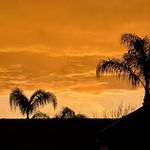 Jonathan Patterson - @jonathan_patterson11 - Instagram