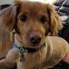 Jonathan Peach - @jonathan.peach - TikTok