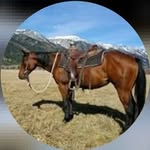 Jonathan Peachey - @jonathan_peachey.3 - Instagram