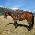 Jonathan Peachey - @jonathan.peachey.3 - Instagram