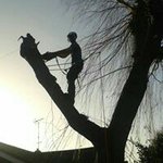 Jonathan Pearson - @jonathan.pearson.102 - Instagram