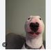 Jonathan Pedersen - Facebook