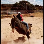 Jonathan Pedro - @jonathan_pedro_rzt - Instagram