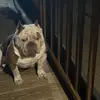 Jonathan Pena - @jonathan.pena7 - TikTok