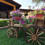 Jonathan Peñaloza - @gesajon - Instagram