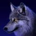 Jonathan Rubens Petrone - Facebook