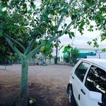 Petrus Jonathan - @jonathanpetrus - Instagram