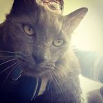 Jonathan Phillips - @jonathan_m_phillips - Instagram