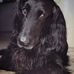 Jonathan Pickard - Facebook