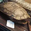 Jonathan Pickle - @jonathan.pickle0 - TikTok