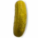 Jonathan Pickles - @dillmasterflex - Instagram