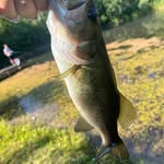 Jonathan Pickles - @pickles89452 - Instagram