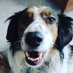 Jonathan Pizzo - @o_o.jonny.o_o - Instagram