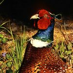 Jonathan Pointer - @pointerjonathan - Instagram