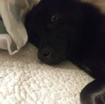 Jonathan Pointer - Facebook