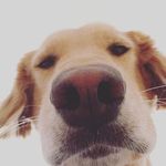 @jonathan_pond - Instagram