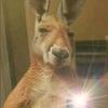 Jonathan pool - @jonathan.pool4 - TikTok