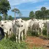 Yosiery torres - @jonathan.posadas11 - TikTok