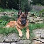Jonathan Preece - @preecethefang - Instagram