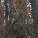 Jonathan Ramey - @ramey7775 - Instagram