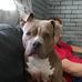 Jonathan Rathbone - Facebook