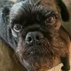 Jonathan Read848 - @jon.read - TikTok