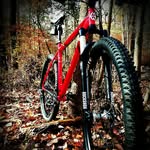 Jonathan Reedy - @aircoolednut2004 - Instagram
