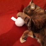 Jonathan Reuter - @jonathan.reuter.543 - Instagram
