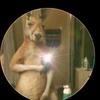 Jonathan Ricardo Orozco Padill - @jonathan.ricardo440 - TikTok