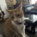 Jonathan Ricci - Facebook