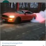 Jonathan Ricci - @jonricci12 - Instagram