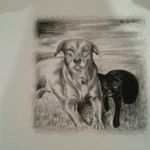Jonathan Rigby - @jonathan.rigby.180 - Instagram