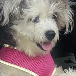 jonathan rigg - @jonrigg1965 - Instagram