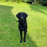 Jonathan Rigg - @jonathan_rigg27 - Instagram