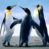 jonathan_rinaldi - @jonathan_rinaldi - TikTok