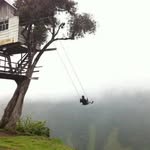 Jonathan Rinaldi - @jonathan.rinald - Instagram